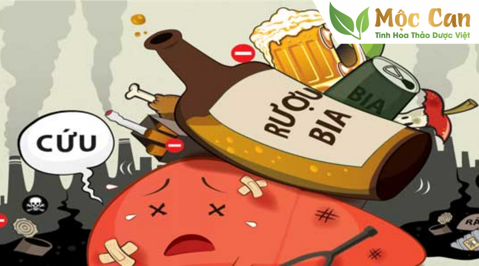 Cách dùng cà gai leo giải độc rượu bia 2